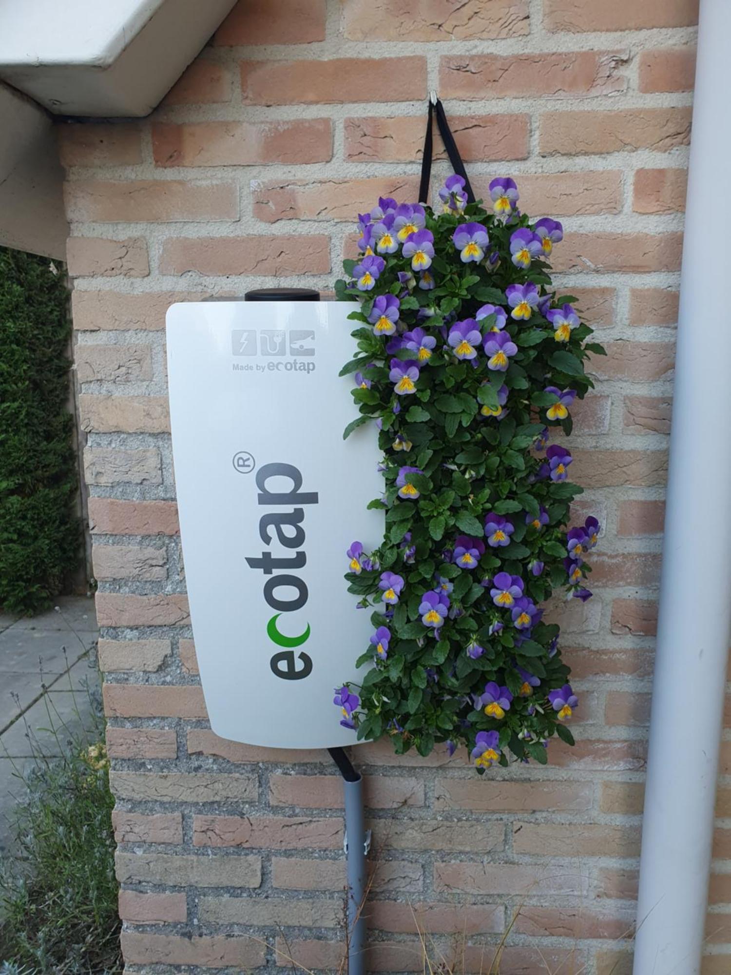 Vakantiehuis Kustverhuur, Zwin 051